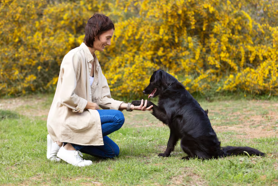 The Science-Backed Way to Teach Your Dog